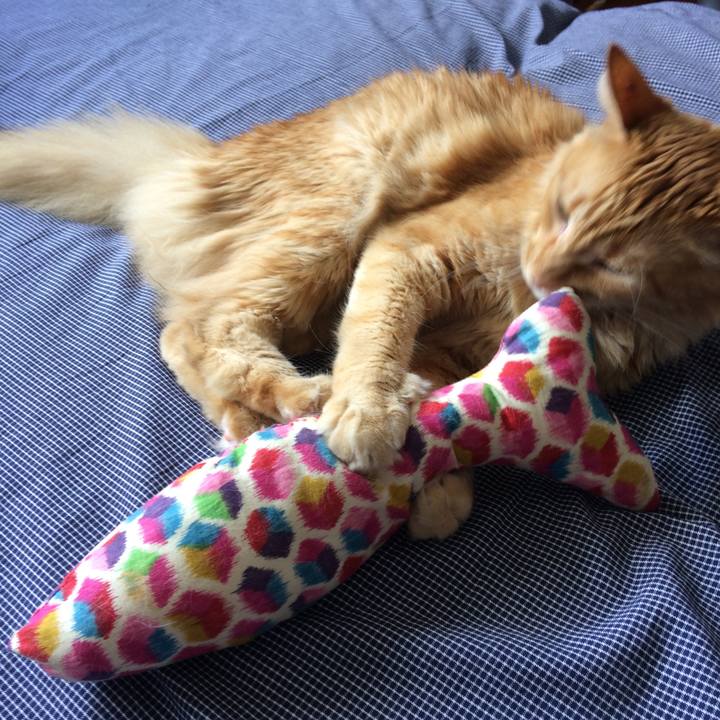 Fac2daca 9ce1 4807 a84f d055088b50a1 1548812705890