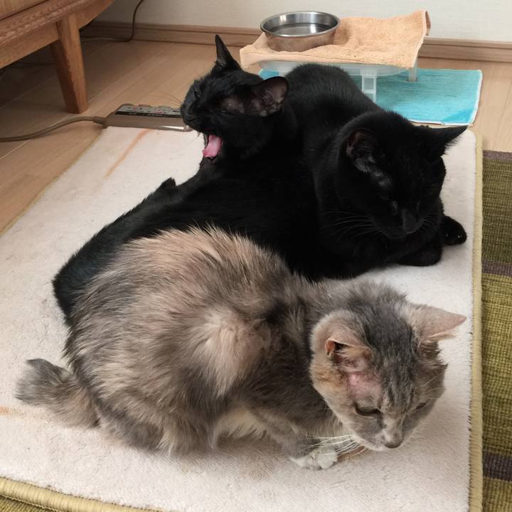 Fac2f84e 74b2 43c8 8fe6 1a69694908b0 1512195190194