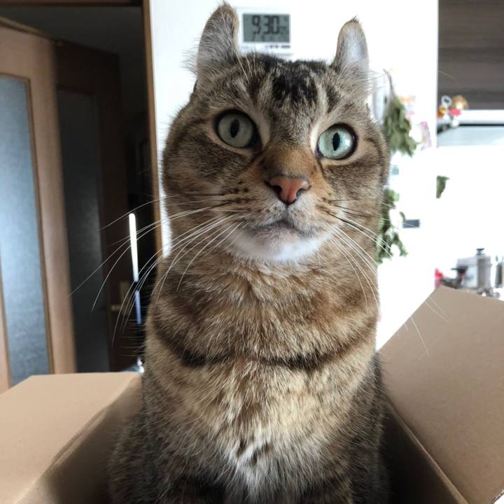 Fac3235f 7d57 4e89 ab97 f132092cb8c8 1612862157174