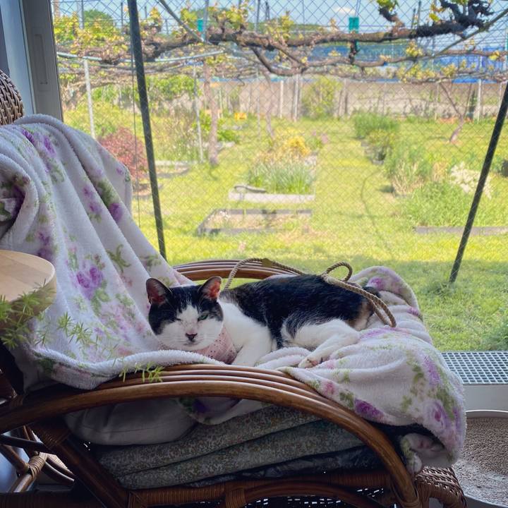 Fac33653 f9d9 4d29 95d7 4aabf3c54e5a 1619765275612