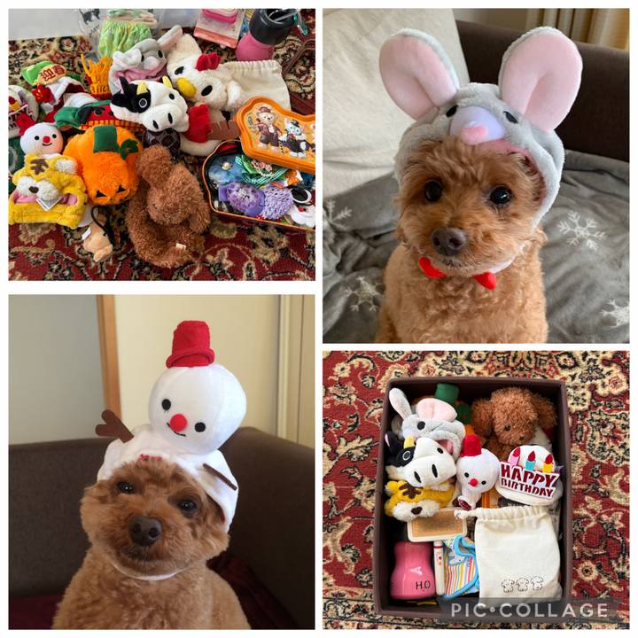 Fac361fd b9da 4a38 bc4c df2f149184ac 1773211644094