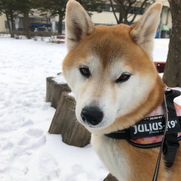 Fac3b3a7 f024 4ff8 94d6 4cd862df146b 1578962374273