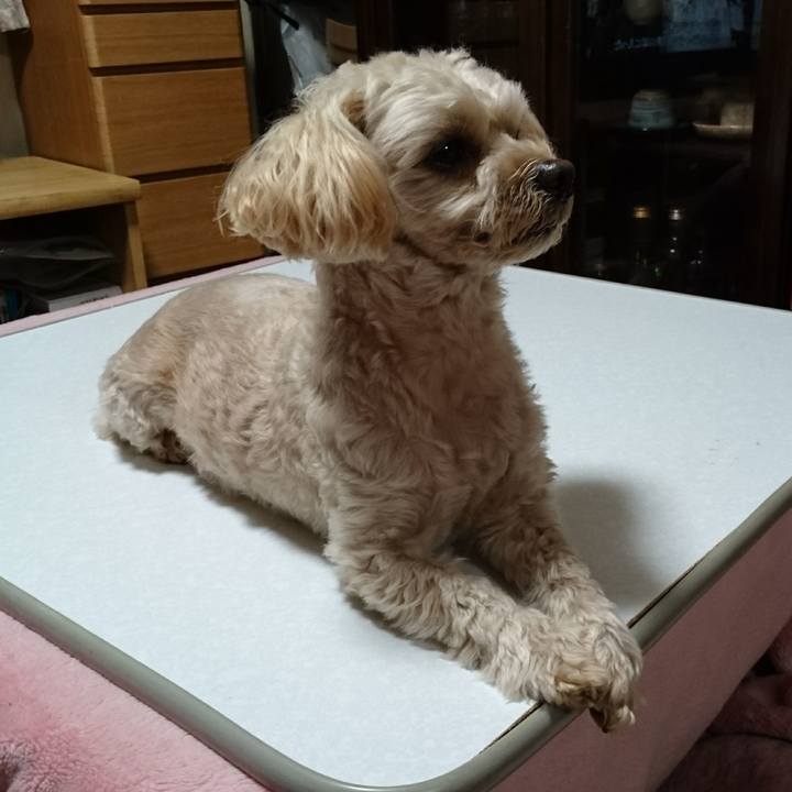 Fac3bce1 7e3a 4072 b89a 52e2f5aaff12 1578487498658