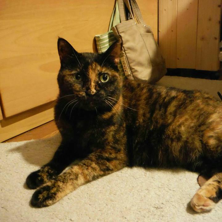 Fac3ee4a 79bc 46e0 a063 03bb8f0c572b 1535615222081