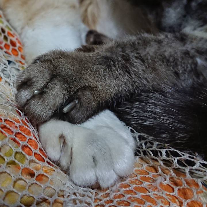 Fac40434 765a 4cf5 89fe 2b80f59bd3a3 1587043383917