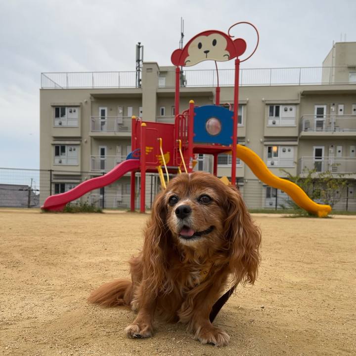 Fac41715 86a7 4dbc 954c 6d82d8a89045 1729905096311