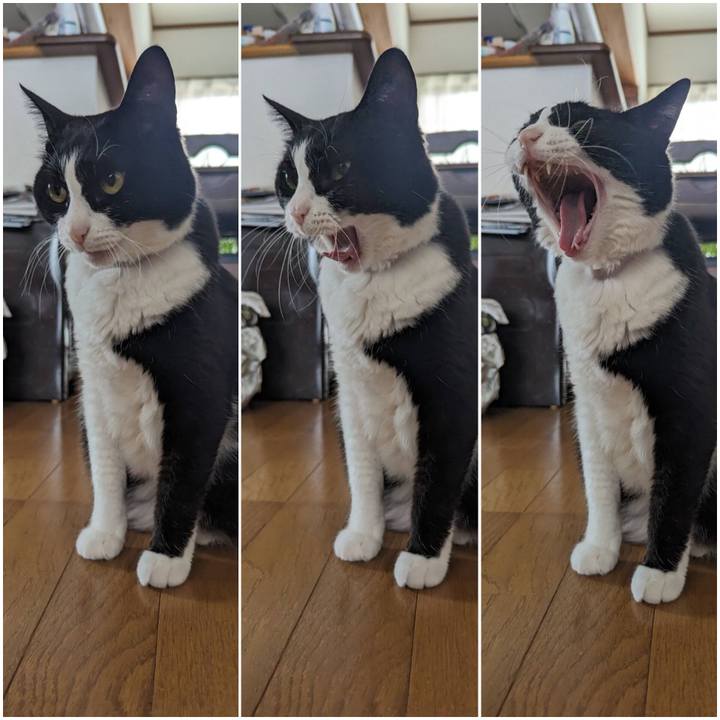 Fac41f58 8967 4568 aa66 c1811c1db85d 1718691050833