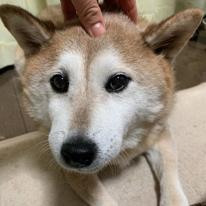 Fac468dd dab1 4b57 9e52 642e97ce30da 1582369906599