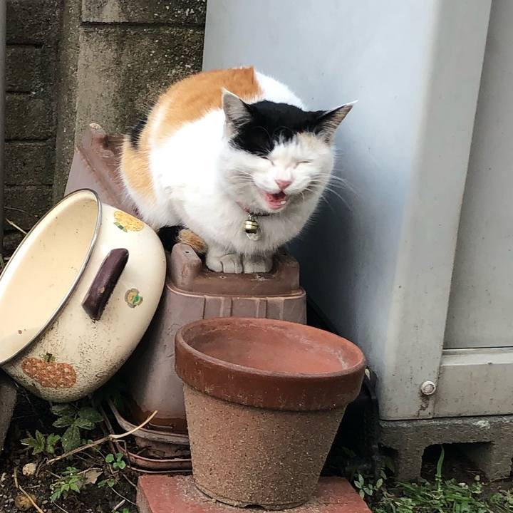 Fac4855d c4a6 4d15 998f 486d575a883d 1612351057810