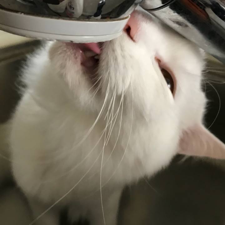 Fac4866a d26d 4ff3 8969 f2d6eadd701c 1520600600161