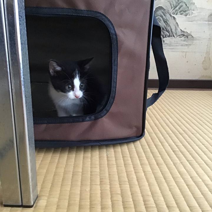 Fac498b5 1fc4 4a69 8623 f383c1f75c9b 1623746689098