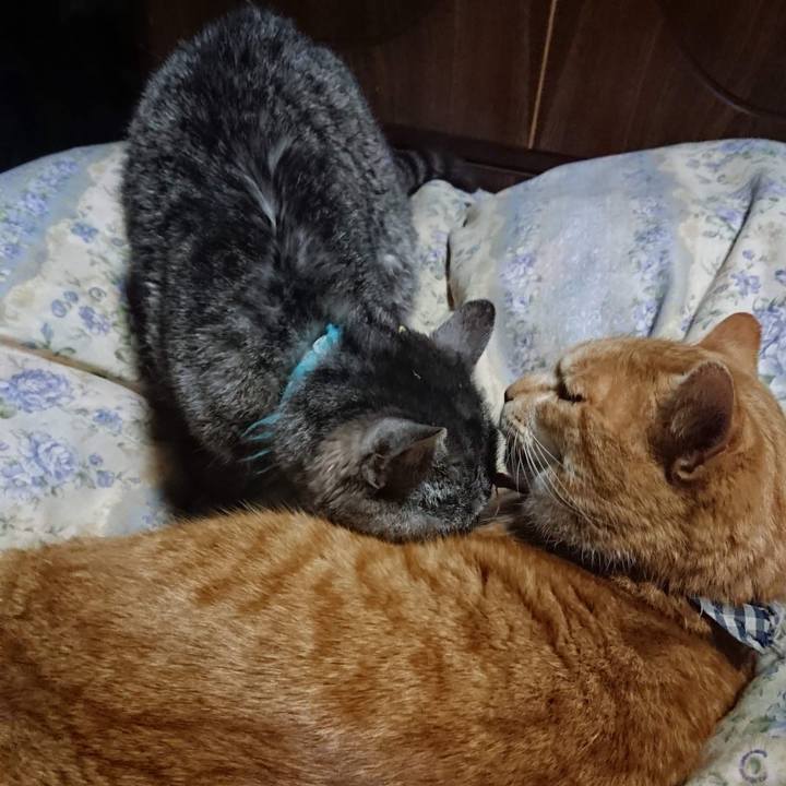 Fac4f646 03e8 4a86 ae4b d2abdbdfd992 1607600293804