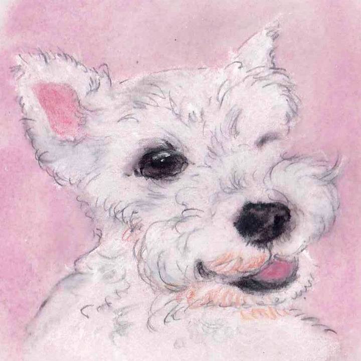 Fac4fdef 58c8 4eab bdb4 9c79b326aab4 1638067168982