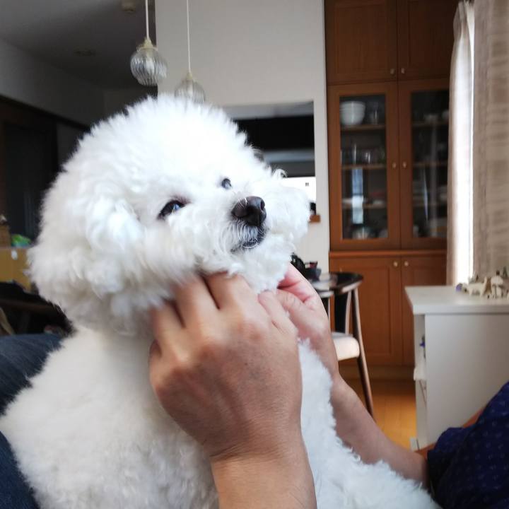 Fac51759 a900 4bf2 9f1a 1110a84a781c 1525064759873