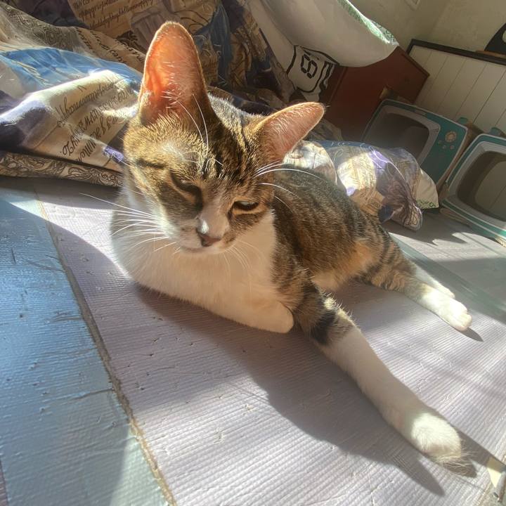 Fac5467e 7d3b 4b5b b9ef 5ed04fb663ca 1666712383614