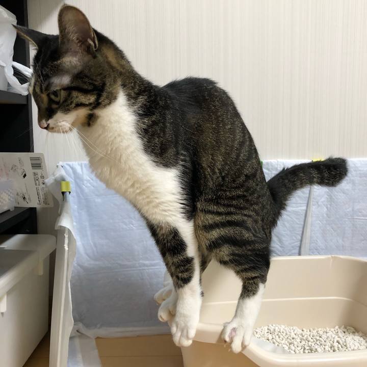 Fac569d0 31f2 4618 8782 195c34e449ae 1531427150737