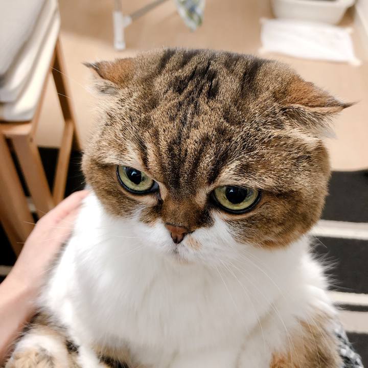 Fac57f62 f5c0 4006 9d6e f43c997c4bc2 1572246594624