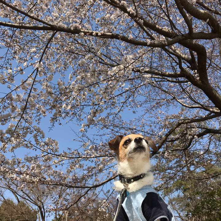 Fac587b8 18f4 47cb ade2 476ae0f5f22b 1553653727805