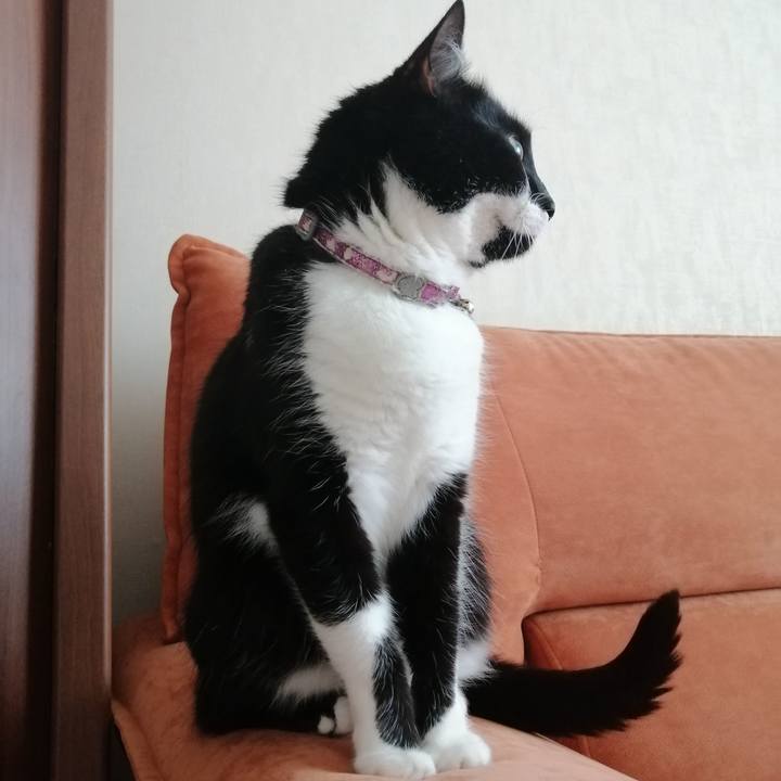 Fac5ca9d daac 4423 8f3a e07f1fa36352 1618320940612