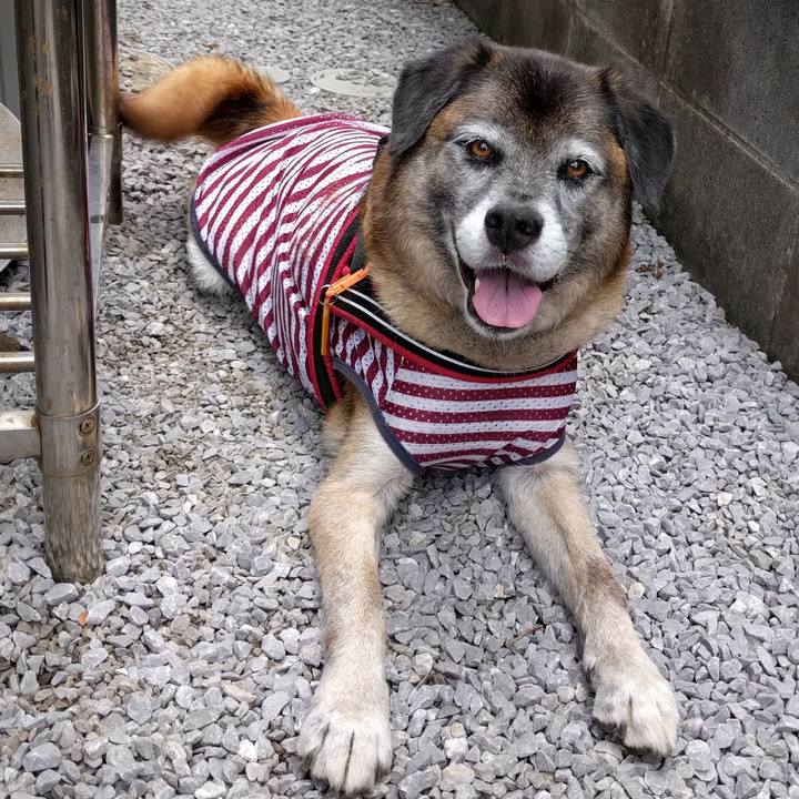 Fac5ec0c 5043 451a 89af f4744b9c40b0 1532906206560