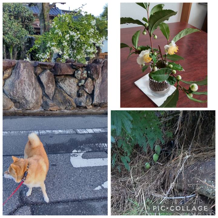 Fac60d00 3051 497d 98da 10fb1f5edf9d 1761953896830