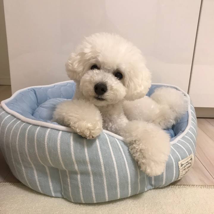 Fac61a3e 6d49 44cc ab29 c450f6896c37 1528184333893