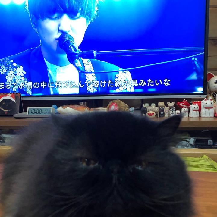 Fac63467 cd24 444b 9e59 a1a9ff14aab5 1609420697584