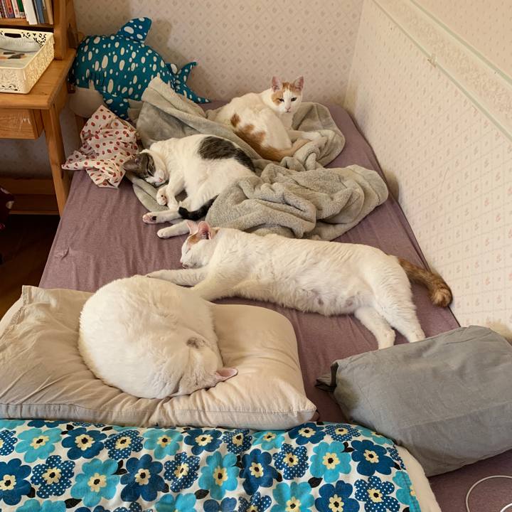 Fac63634 5666 4e38 b631 5835c6dc589e 1652584450954