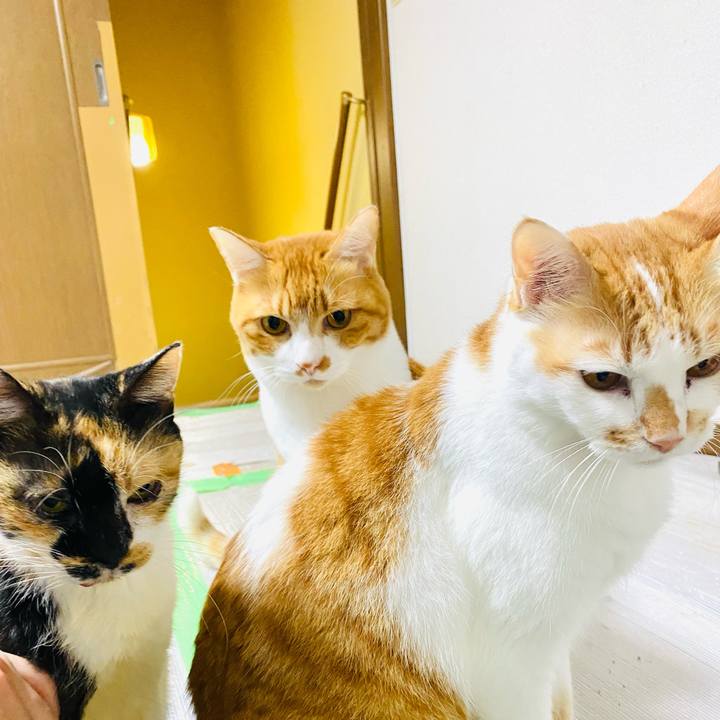 Fac639bc c2bb 4d1c 912a fd34cf83d89b 1698187241582