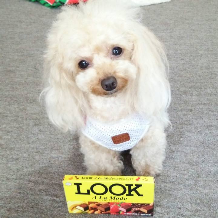 Fac659cc 5167 4ae3 b878 e24edb351971 1532070659444