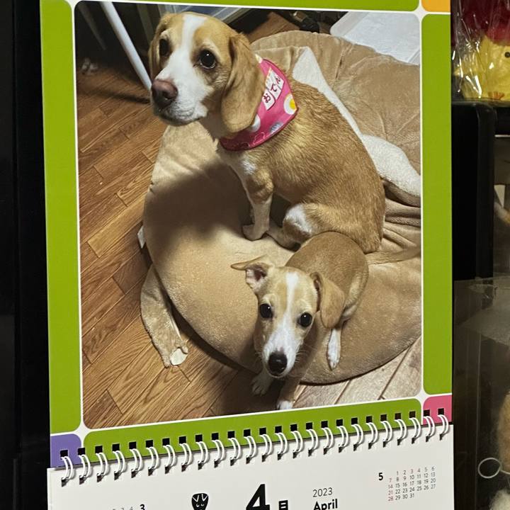 Fac6c6a1 ee32 4ea3 b40d 3df30d4052bf 1680607439278