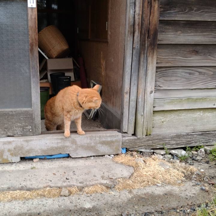 Fac7007a e168 43b6 945d aeb57aab93b9 1716157226901