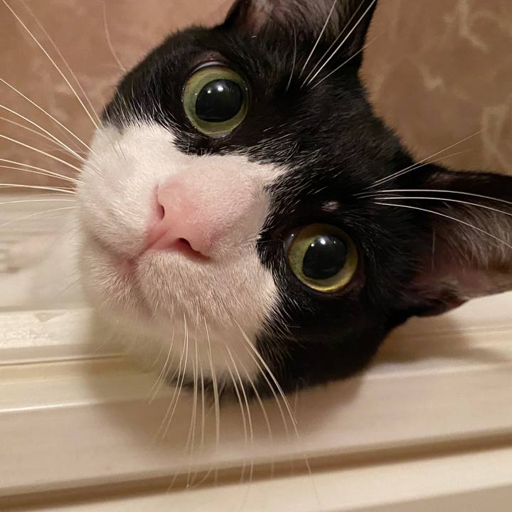 Fac707bc 2c0e 46c9 a5c9 e4f987b559d6 1697282463250