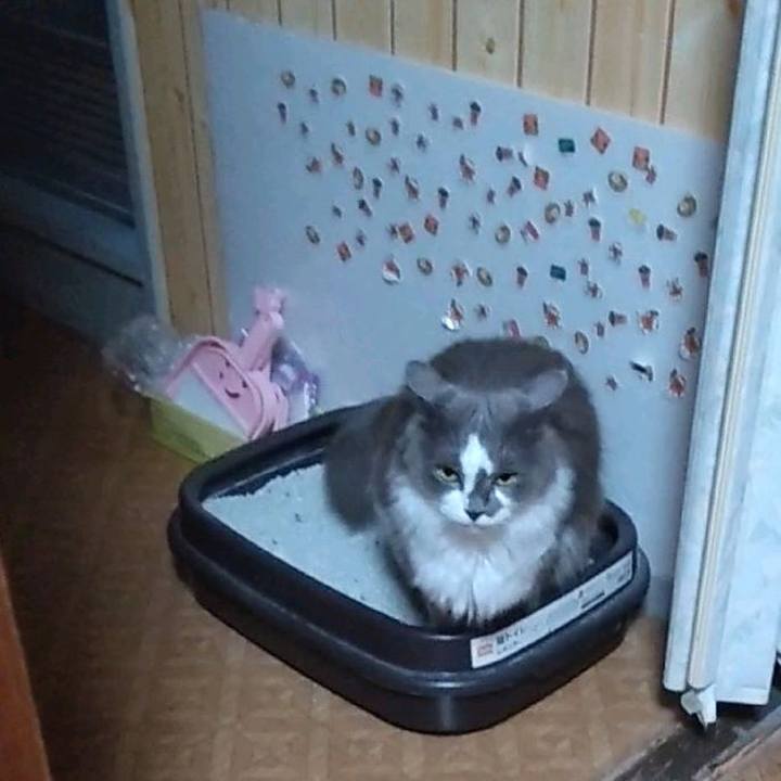 Fac7187a 3839 408f ae9a 0af612a14289 1697955845310