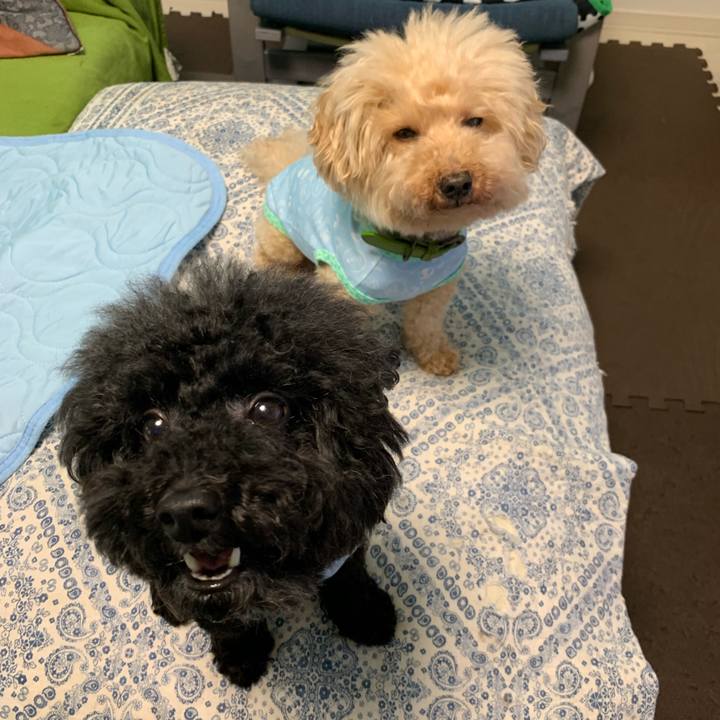 Fac72e59 50db 4571 b23a b2b568183c3c 1564007078010