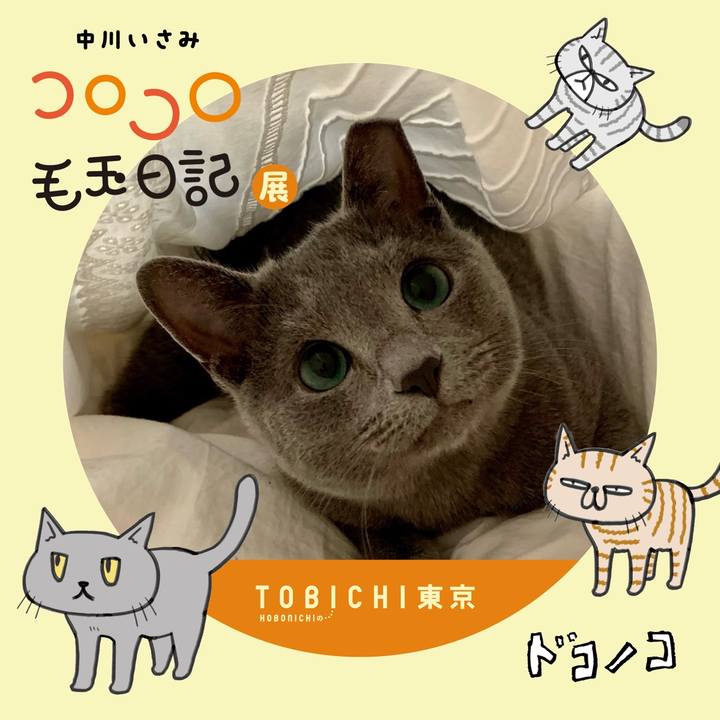 Fac7437d aee4 42fb b59b cf21659053cb 1740215163595