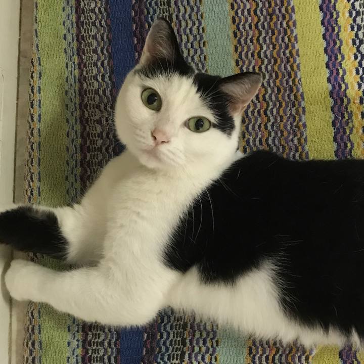 Fac75fe5 f267 4b40 8e47 70dca5e0753c 1530103937260