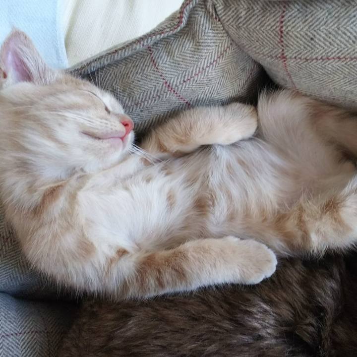 Fac79da3 36cd 4de7 8645 932272987993 1540561868114