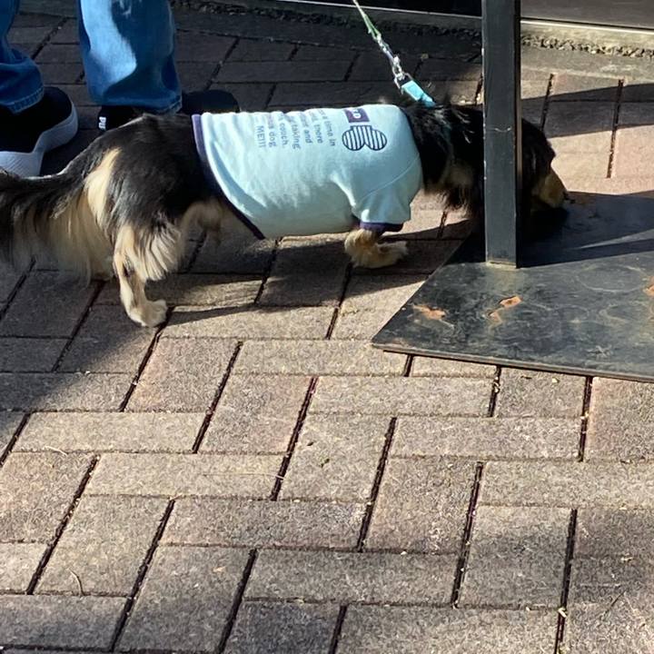 Fac7f52e 82c9 4823 af28 0fbd15092537 1731111100142