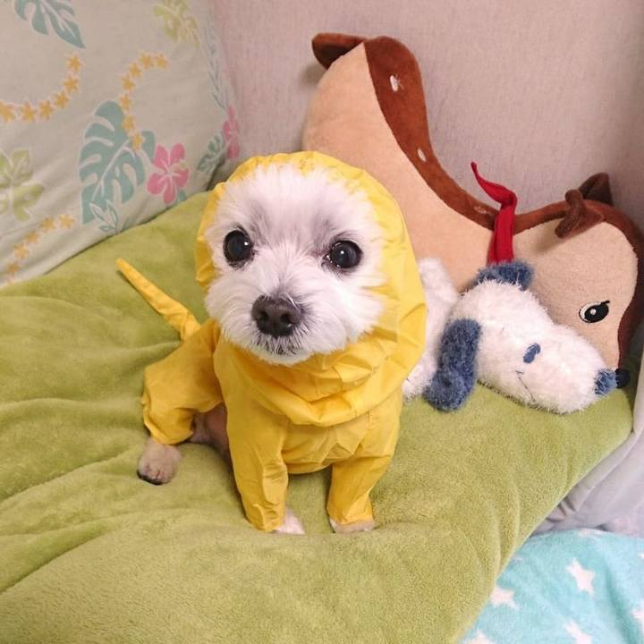 Fac8283d 1ce0 41df 9feb 78870981f675 1519275024792