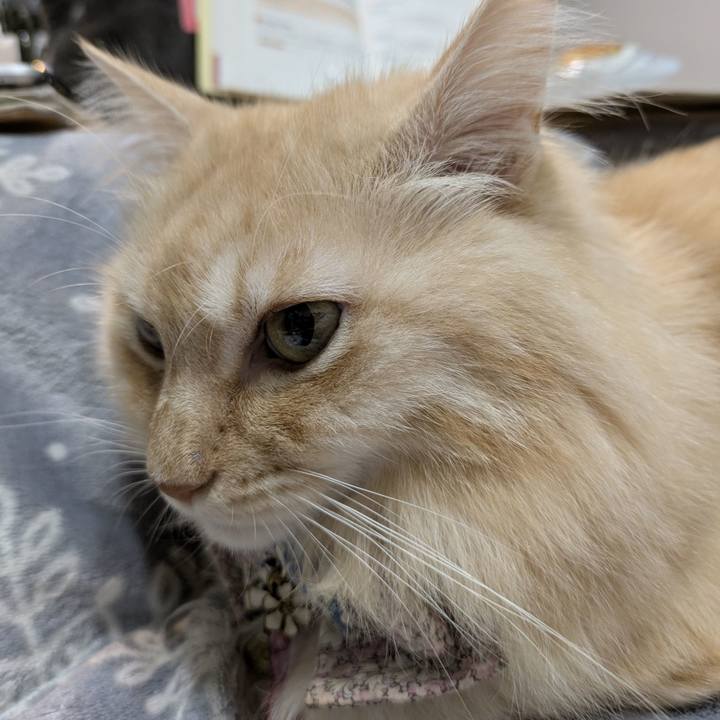 Fac8303e eef1 4ac7 a5df 9e2fa35d3972 1762764247477