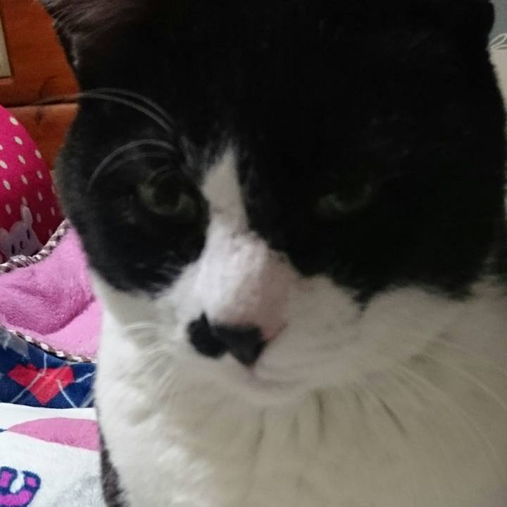 Fac8384d 449d 46b1 a50b cab440f07f42 1510981220570