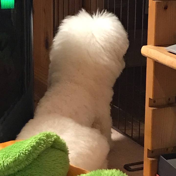 Fac87fd0 d397 4dd8 886b 659f45abeca6 1588069793255