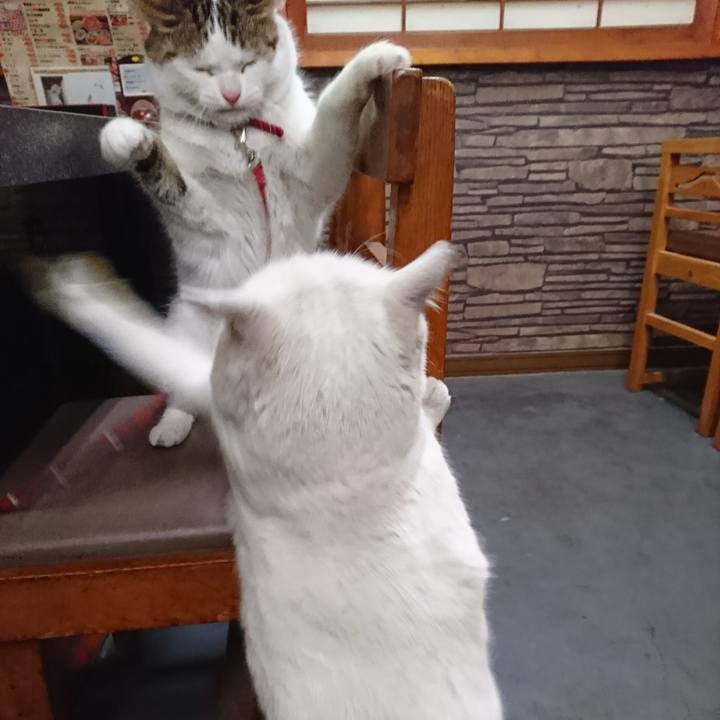 Fac88aea b528 4e09 be08 ef55d2da321f 1518662985546