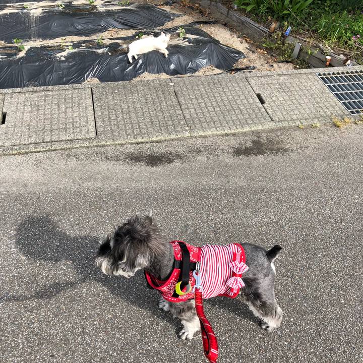 Fac8ed2c 6821 44c9 be96 19bb72437493 1525580577729