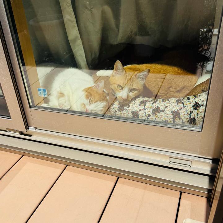 Fac90151 7172 4a0a 9cf9 8decf3a1c0d2 1775970289369