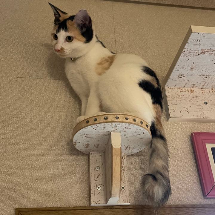 Fac91bb0 91dd 499b b08a 1ddec2e5be33 1666657134842