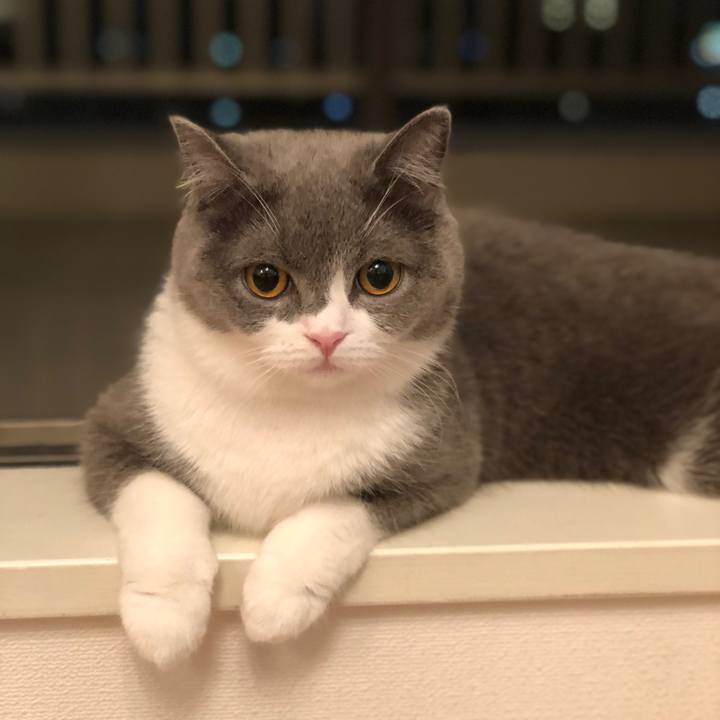 Fac955f5 422f 40be a0f4 d18a17318051 1529067047351