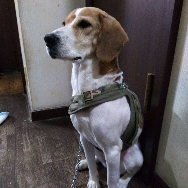 Fac961b5 bae6 466b 84dc 85347bd1801f 1676639317635