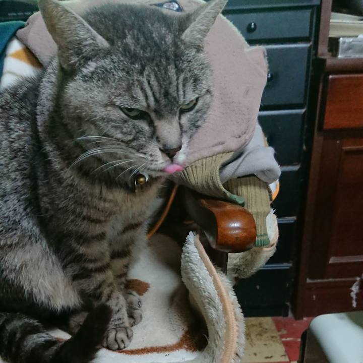 Fac96d4e 9fcb 4b4c b4ad e2f8ffc0141c 1552006040502